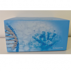 His Tag Protein Purification Assay Kit